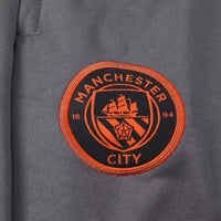 Manchester City Gray Training Tracksuit 2023/24