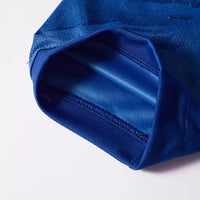 Palmer 10 - Chelsea Home 2025/26 - Master Quality